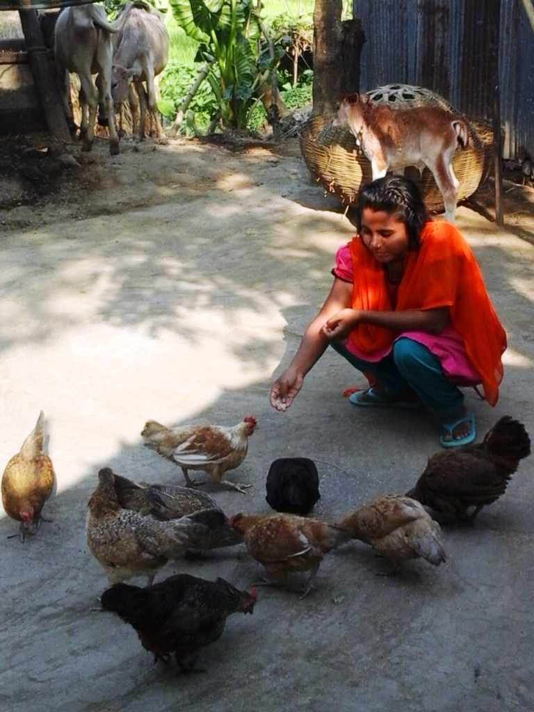 Success - Ruma is providing feeding to her poultry
